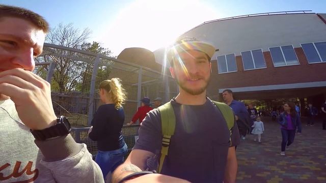 Живой звук. Животные. Танцы. смотреть онлайн