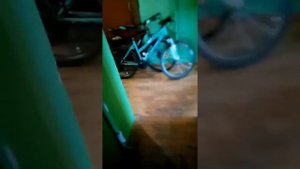 Как жить в коммунальной квартире. Про газ, воду и другие услуги