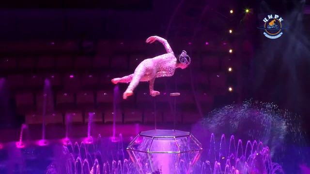 Цирк на воде смотреть онлайн