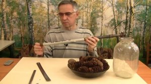 Как вырастить ель. Получение, хранение семян. Часть 2.