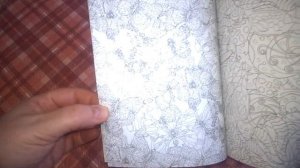 Обзор раскраски " Бабочки. Улети в мир красок."