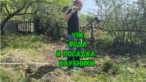 Ура!!!!! Вода и первая посадка клубники