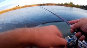 Короткая рыбалка ранним  утром. Окунь. Микроджиг.