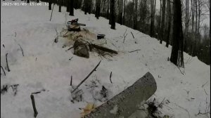 Изготовление охотничьих лыж методом расщепления часть 1