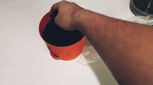 Как вырастить Грецкий Орех ? Самый быстрый способ 100 % укоренения !