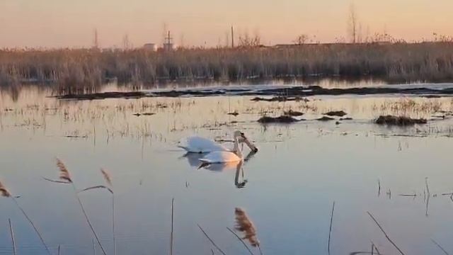 23 апреля 2023 г. смотреть онлайн