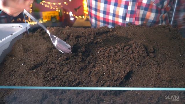 ВЫЖИВЕТ ЛИ СТЕПА ПОД ЗЕМЛЕЙ? смотреть онлайн