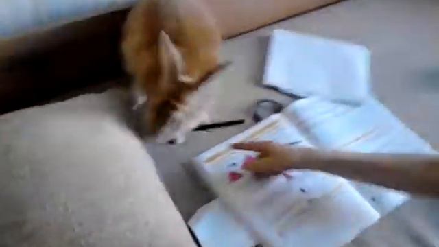 Игры с кроликом эпизод 1 второй сезон смотреть онлайн