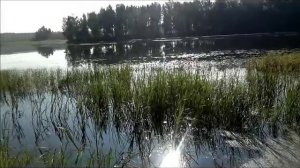 Озерна, рыбалка.mp4