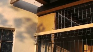 Выгул для голубей на месте Казимира.