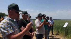 Артем Лаврик о ширине междурядий на пшенице | NTLAB19 (полевая практика)