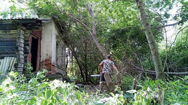 Восстановление старого заброшенного дома в деревне.