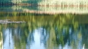 Унеча. Рыбалка.