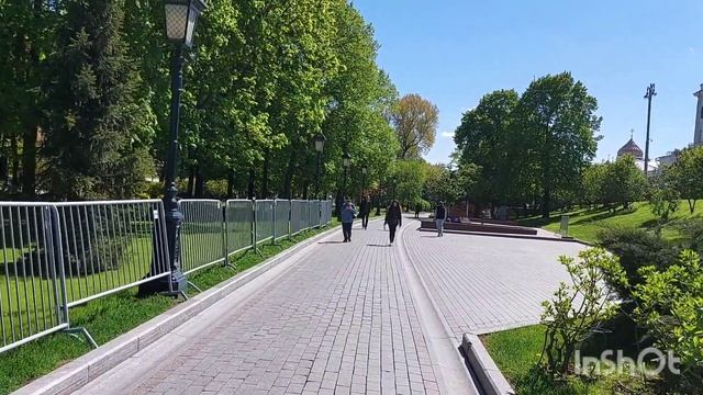 Успейте посмотреть эту красоту!/все в сад/Александровский сад#москва#александровскийсад2022#тюльпан