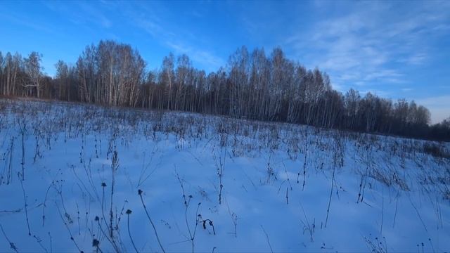 Зимняя охота на тетерева на лунках. A Winter Black Grouse Hunt