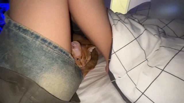 генсуха показала свою киску смотреть онлайн