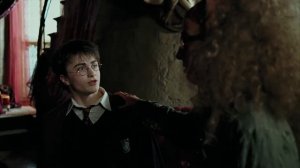 Гарри Поттер возвращает шар предсказания / Професор Сивилла Треллони предсказывает предсказание