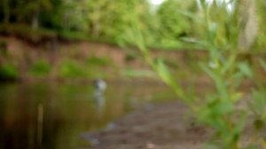 Быстрый Танып