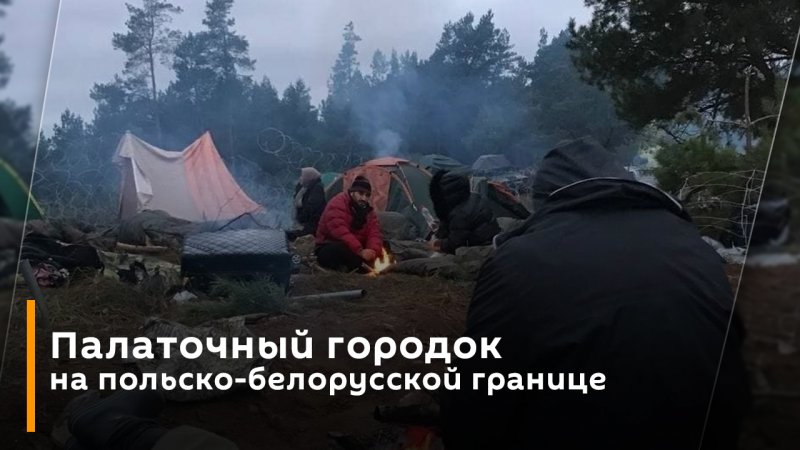 Ночь палаточного городка на польско-белорусской границе