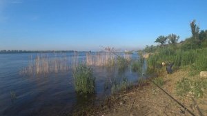 Рыбалка Утром  на Волге Ловля на Реке на Донки Закидушки Язь Голавль