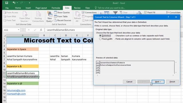 Excel Text to Column Explained in Sinhala | Microsoft Excel Sinhala Lessons