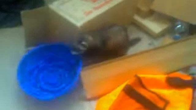 Наш хорек - Джесика и форма для пирога смотреть онлайн