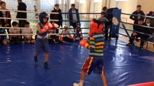 Арнай боксёр детский бокс 8 лет