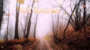 С последним днем осени! Чудесная видео открытка с добрыми и пожеланиями в последний день осени.