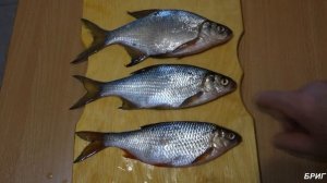 Плотвещ - гибрид плотвы и леща. Обзор и дегустация.