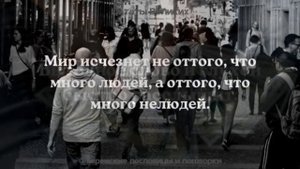 ЕВРЕЙСКИЕ ПОСЛОВИЦЫ И ПОГОВОРКИ | ЕВРЕЙСКАЯ МУДРОСТЬ