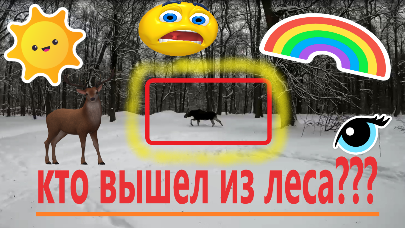 ЛОСЬ вышел на лыжню!!! Прогулка на лыжах по Лосином острову в начале февраля 2024