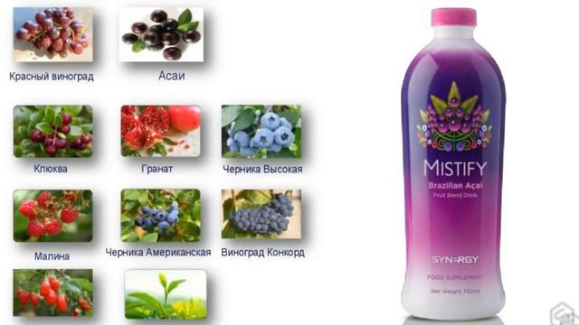 Synergy MISTIFY Самый мощный антиоксидант из ягод Ассаи смотреть онлайн