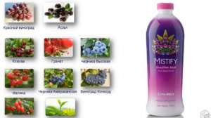 Synergy MISTIFY Самый мощный антиоксидант из ягод Ассаи