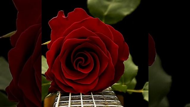 Игорь Кибирев (Твой день рождения) смотреть онлайн