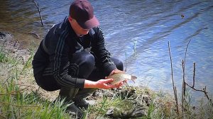 Рыбалка на карася. Ловля карася на поплавок. Поклевки крупным планом.