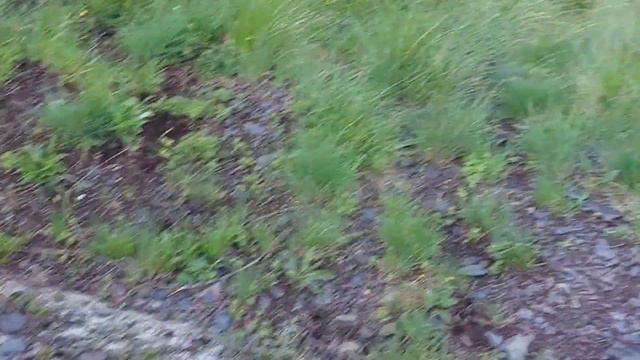 Республика Дагестан Цунтинский район село Хутрах#биотехнический работа#2023г смотреть онлайн