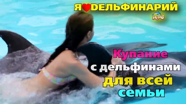 Плавание-купание с дельфинами в Феодосийском дельфинарии "Немо" смотреть онлайн