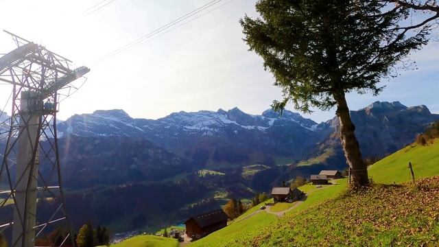 Как ЛЕЧИТЬ РАК в Германии?  Жизнь в Германии. Германия 2023