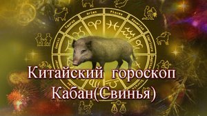 Китайский (Восточный) гороскоп. Кабан(Свинья)