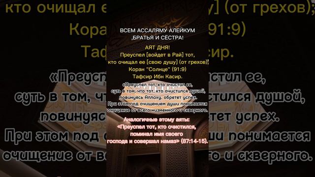 АЯТ ДНЯ! смотреть онлайн