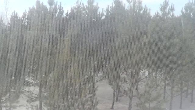 НАШЕЛ 1000000 РУБЛЕЙ!!!