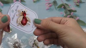 Очень красивые ? броши ? с Алиэкспресс