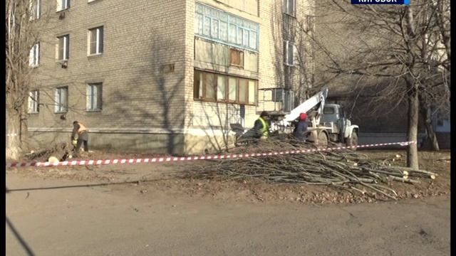 ТК "Родной". Коммунальщики города выполняют плановые работы.