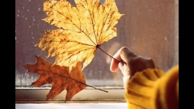 "Мое слайд-шоу Осень" смотреть онлайн