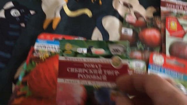 Мои черноплодные и полосатые томаты
