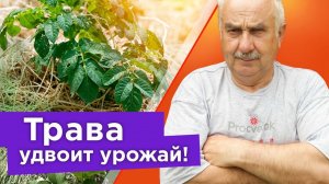 ВЫ БОЛЬШЕ НИКОГДА НЕ БУДЕТЕ ВЫБРАСЫВАТЬ СКОШЕННУЮ ТРАВУ ПОСЛЕ ПРОСМОТРА ЭТОГО ВИДЕО!