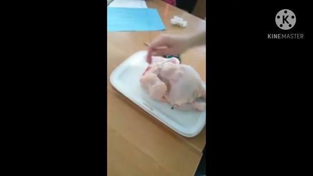 заправка птицы в две нитки смотреть онлайн