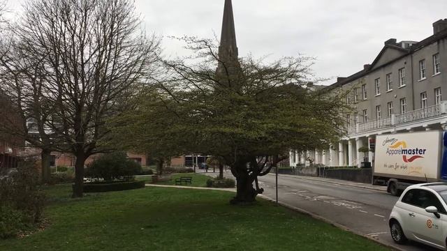 Persian ironwood (Parrotia persica) - tree - April 2018 смотреть онлайн