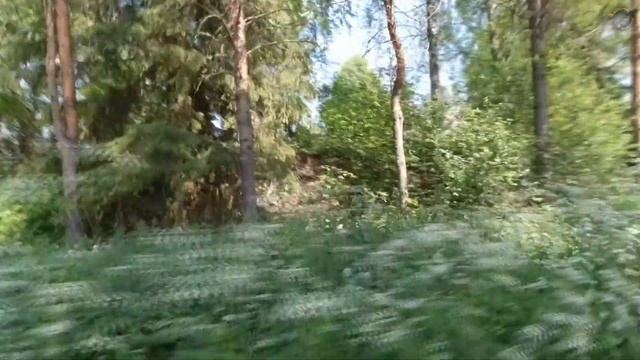 Павло Обнорский монастырь 2 серия #грязовец #вологодскаяобласть