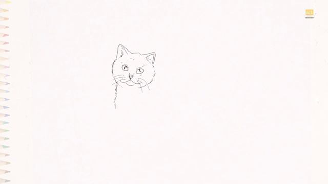 Cat realistic drawings | Easy outline drawings | How to draw A Cat step by step | Animal drawings смотреть онлайн
